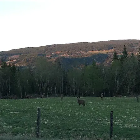 Ranch * Kvitfjell